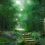 The Spirit of the Woods