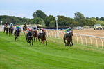 040826-Race 5-Halimede-5409
