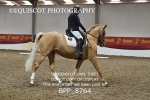 BPP_8764