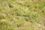 SBM_09131