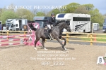 BPP_3232