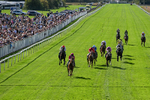 050926-Race 3-Dontlookanyfurther-3477