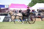 SBM_05938