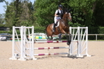 Class 7 - 1m portfolio