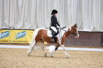 SBM_006303