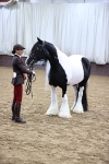 SBM_5533