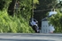 Guy Martin