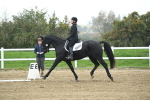 LAD_3528