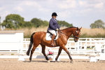 SBM_03648