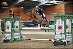 equiscot 8002 LIAM MCGURNAGHAN TARA V