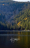 3HPhotography10-6-24_RMNP_0047_