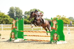SBM_000346