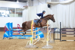 Class 5 - Senior Foxhunter - 1.20m portfolio
