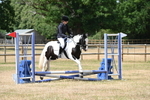 WJ6_5317