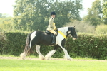 SBM_68990