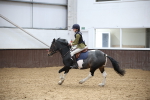 SBM_001523