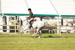 SBM_20116