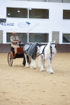 Class 11 - Peter Howell Memorial Gentlemen Whip portfolio