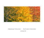 Autumn Colours