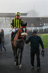 281224-Race 1-Not Staying Long-1259