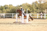 SBM_001081