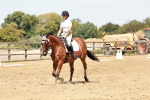 SBM_002981