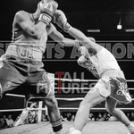 BOUT-6 James Woolnough v Jordan Blake-31