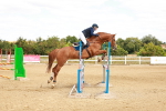 SBM_006053