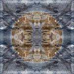 Beauty of Chance haiku