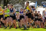 Falkirk25-913680