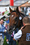 260823-Race 2-Middle Earth-0383