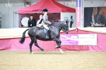 SBM_02258