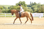 SBM_007513