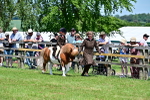 SBM_05807