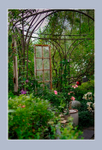 Paula's Garden 2