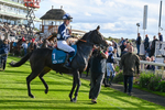 141023-Race 5-Certain Lad-9132