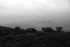 EXM_ 009 B/W