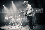 Pigsx7-49