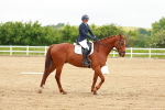 SBM_005660