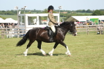 SBM_09186
