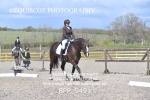 BPP_9491