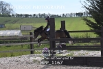 BPP_1167