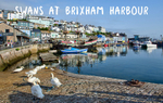 NEW - Brixham Harbour