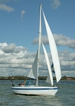 081018 MAGARI 8CDX1906
