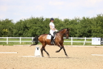 SBM_001976