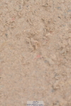230511A-144342-00986