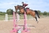 BPP_3731