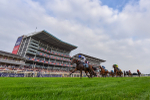 Race 4 7.13pm Tomahawk Restaurants Handicap portfolio