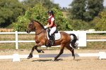 SBM_005594