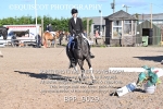 BPP_9029